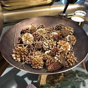 Meet your Posher, Jayne